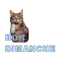 Dimanche